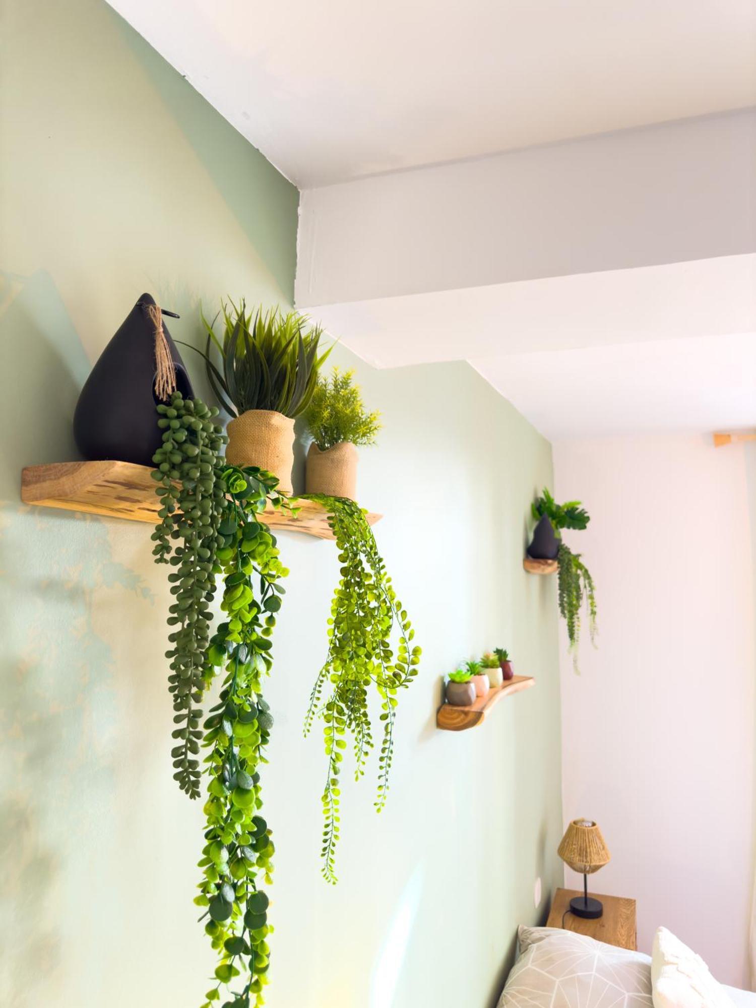 Le Patio ※ Carnot Apartment Carcassonne Ngoại thất bức ảnh